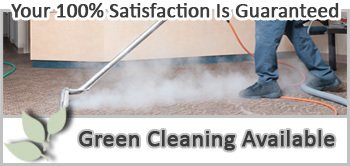 Carpet Steam Cleaning